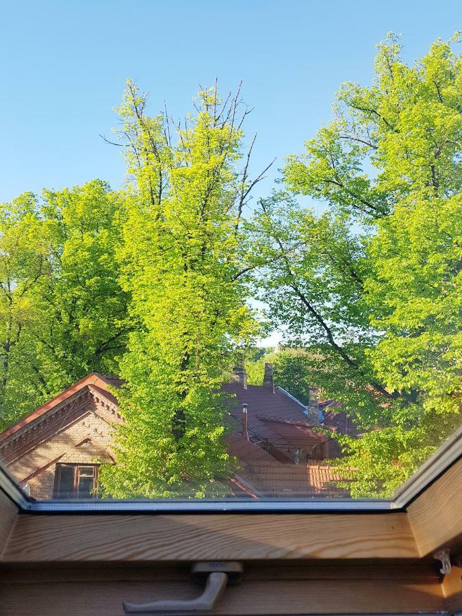 Exceptional Uzupis Bridge 3 Bedroom Apartment VNO Extérieur photo