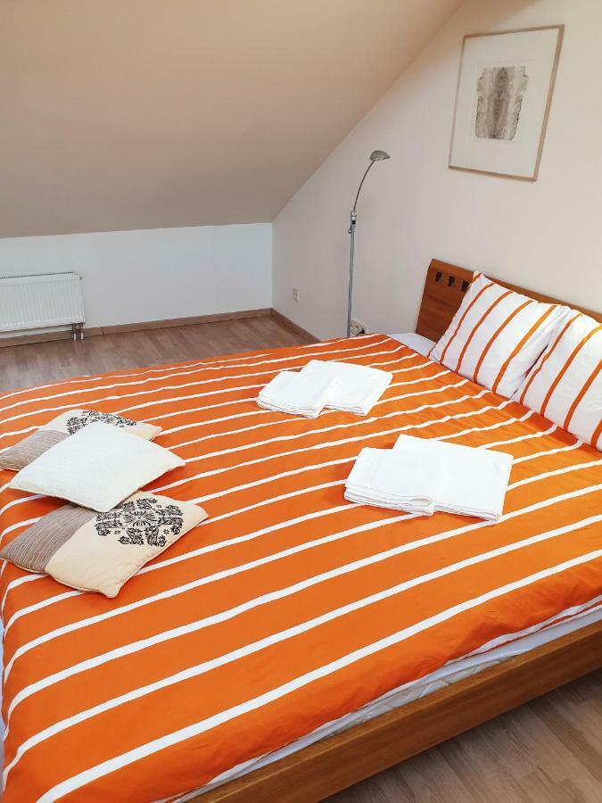 Exceptional Uzupis Bridge 3 Bedroom Apartment VNO Extérieur photo